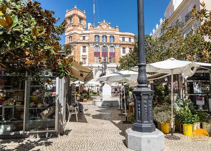 Estudio Flores By Time Cadice